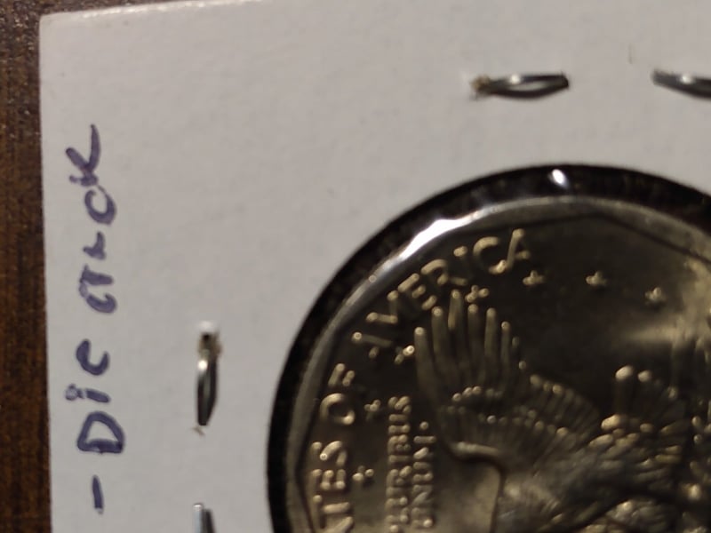 268505838_963679111224216_3935646350614371034_n.jpg