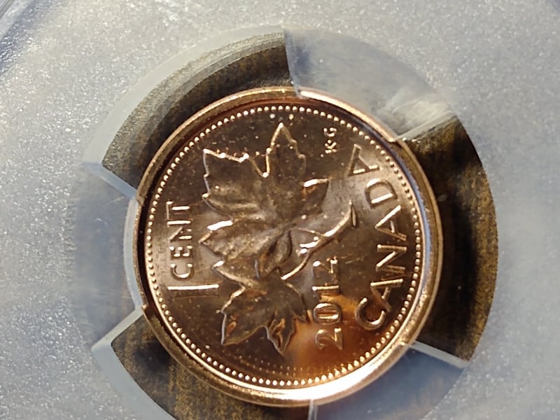 269165836_672717450803025_120411281908943375_n.jpg