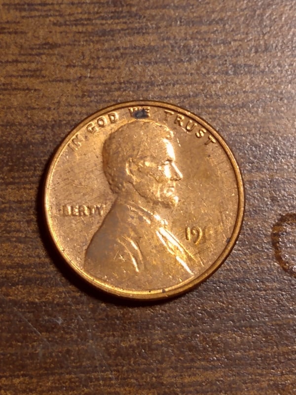 269962591_476123070549778_635995360287559069_n.jpg