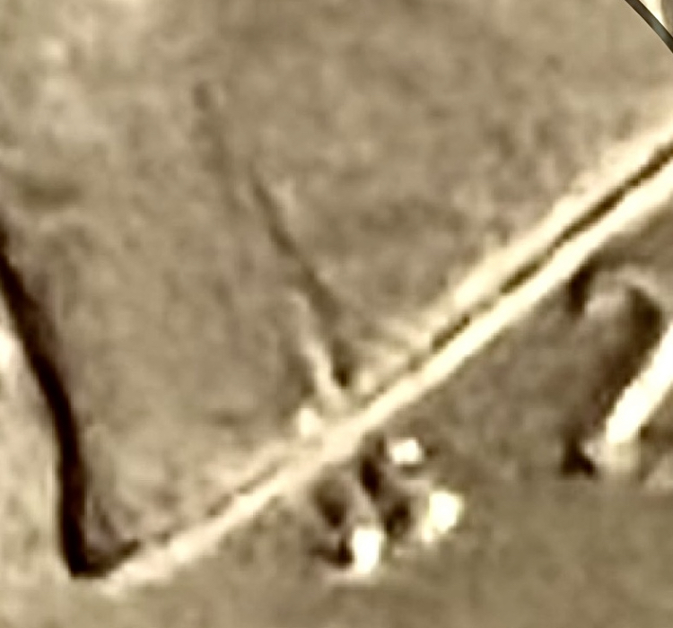 26C0523A-2330-4311-9899-33020DA5F3E1.jpeg