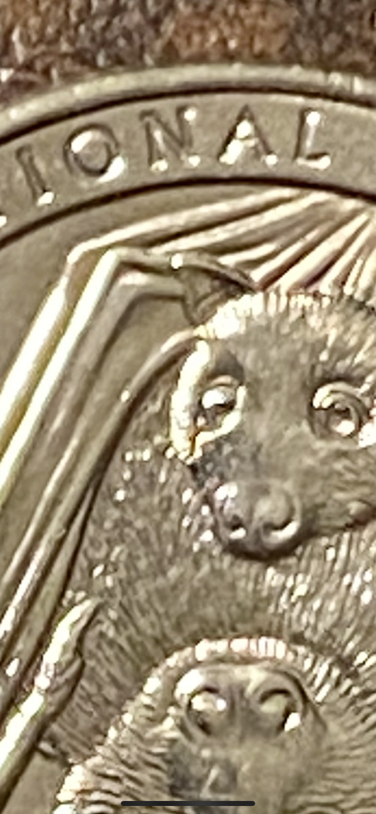 26C112B4-EE7D-4CEE-92B7-D1FDE26DAAEA.png