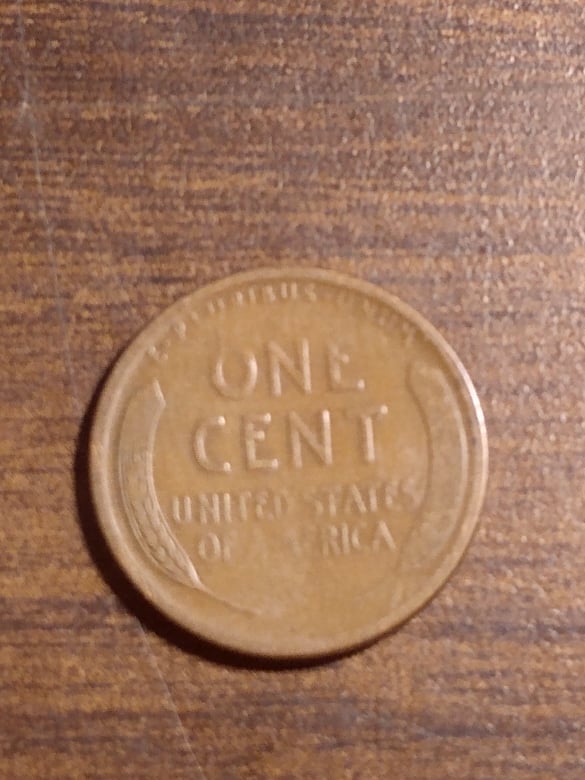 271244687_319713273366338_1410628165545792425_n.jpg