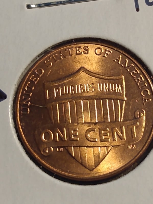 271340831_453387116488893_4953103140691073976_n.jpg