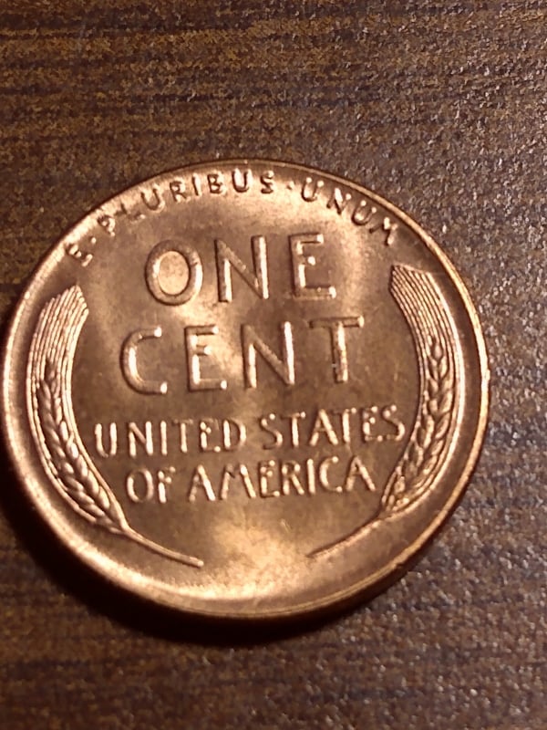 271348993_476781314013569_2694815206484043724_n.jpg