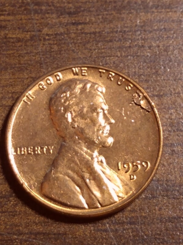 271394531_336355328123601_3424668093731099656_n.jpg
