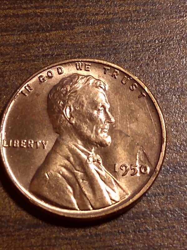 271436895_643671200391313_2272347683349499900_n.jpg