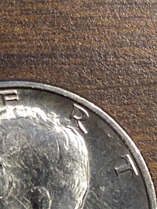 271603769_451296660046520_3591363393438964207_n.jpg