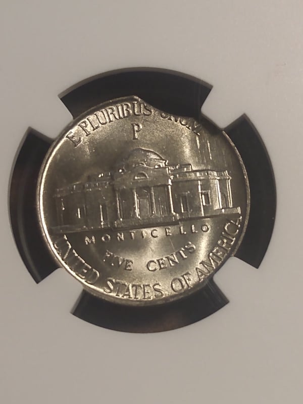 271716377_484015909811539_4382080902641653102_n.jpg