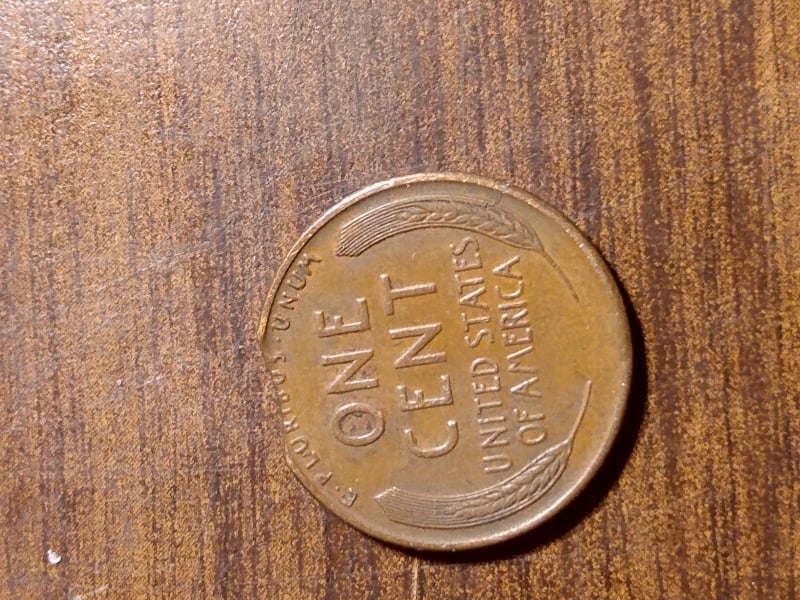271752105_321015513275471_7797079213052501857_n.jpg