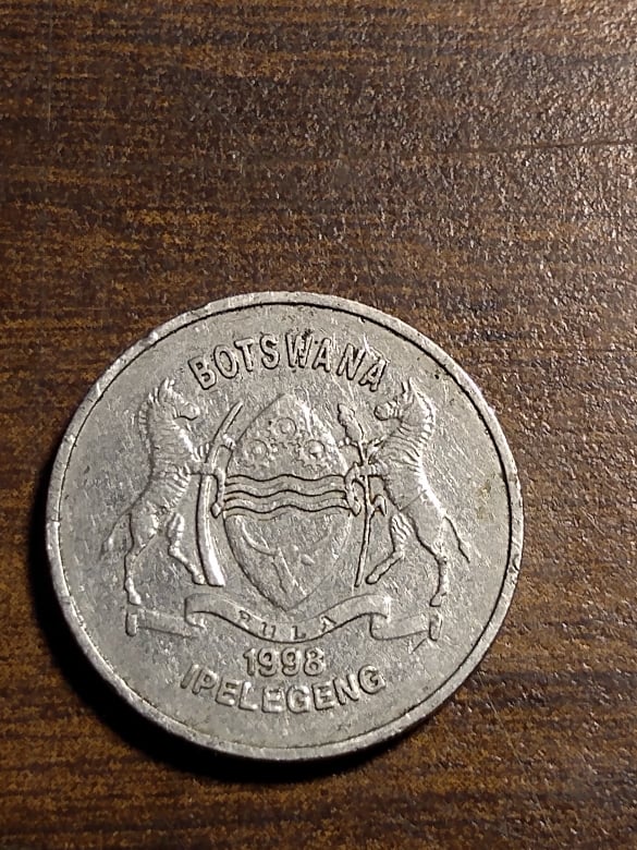 271869867_2896115650686652_8389748816433291929_n.jpg