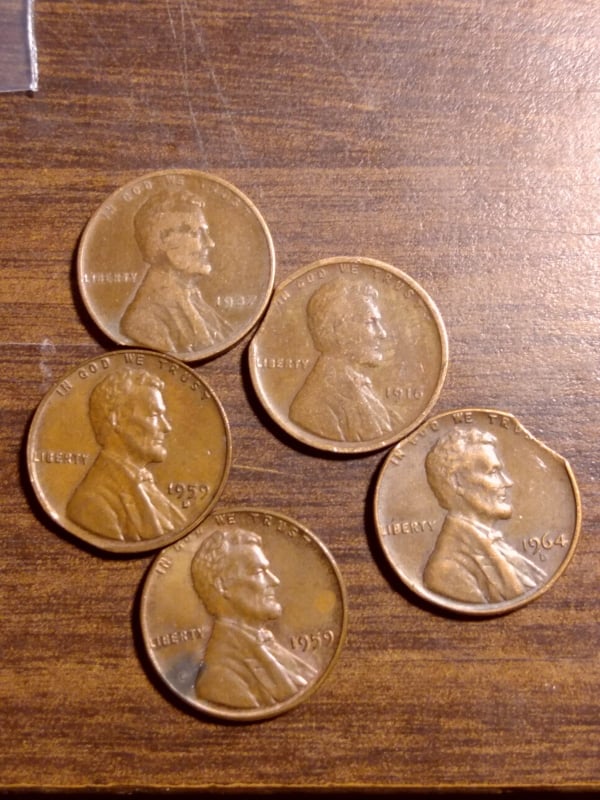 271941685_314924897229062_4152390012146573556_n.jpg