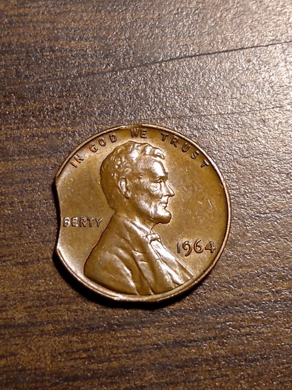 271956301_644127053569539_2855861677920618639_n.jpg