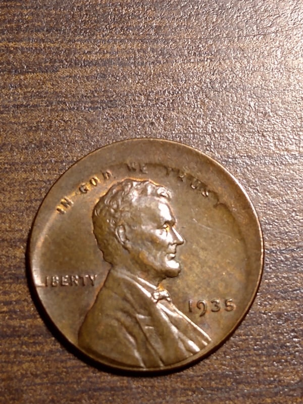 272014900_4951592134899577_7487273333526551763_n.jpg