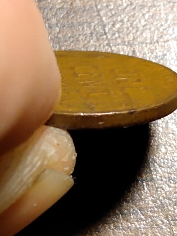 272089016_457456649192406_6492030137044356115_n.jpg