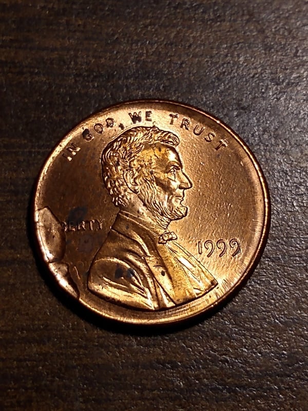 272251773_1600503756965148_194604058349882254_n.jpg