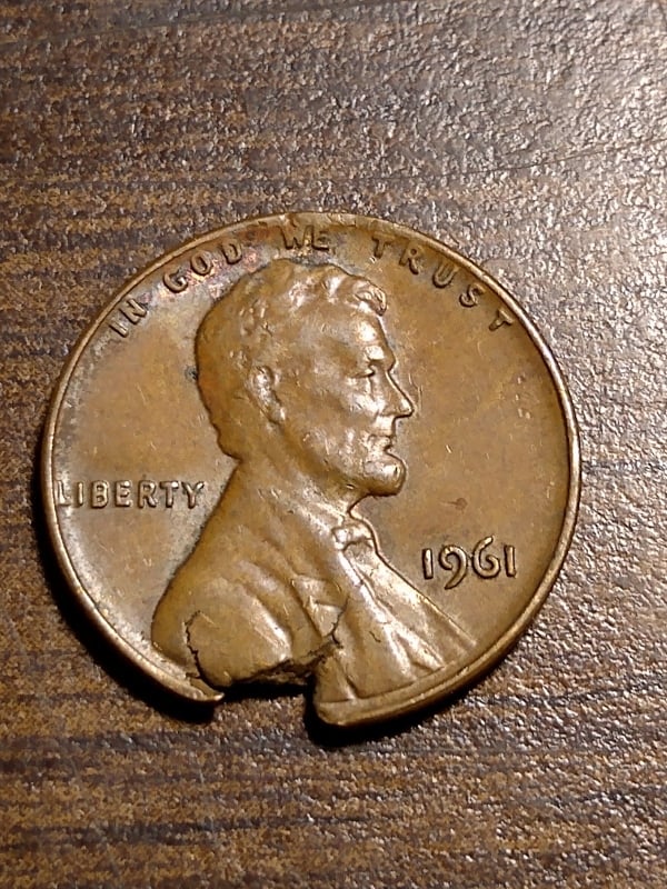 272327925_499542015107219_1220499654626575569_n.jpg