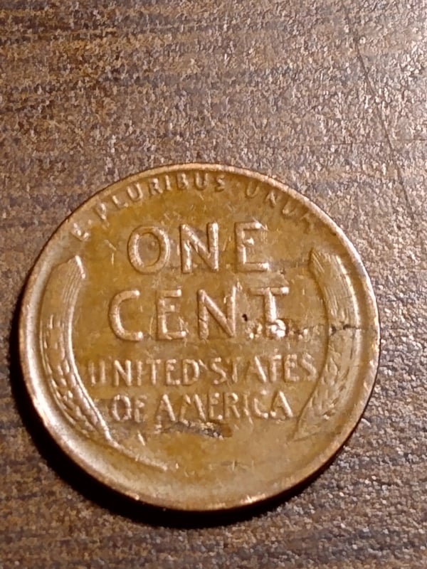 272632493_1288414915004980_1318623766209372860_n.jpg