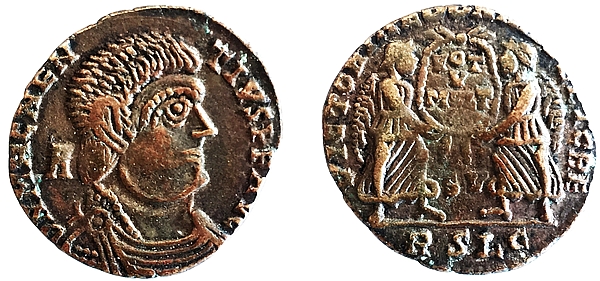 2788 Magnentius barbaricus heel.jpg