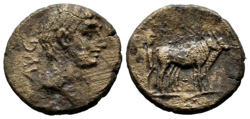 278807.l.jpg