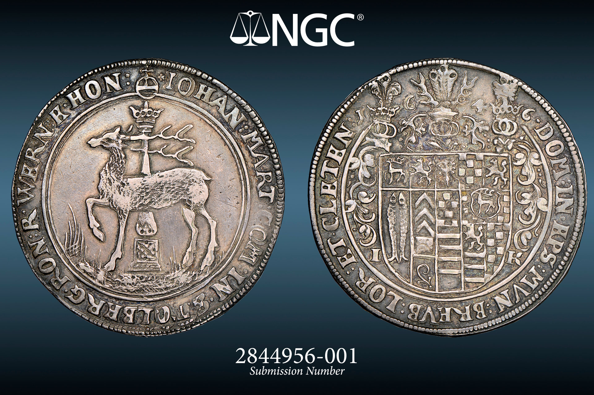 2844956-001v.jpg
