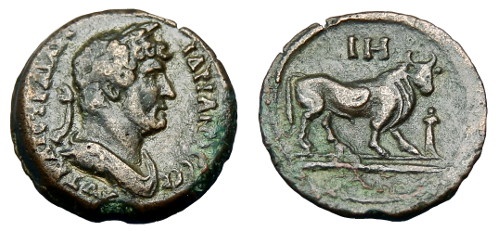 287 P Hadrian Emmett 1114.18.jpg