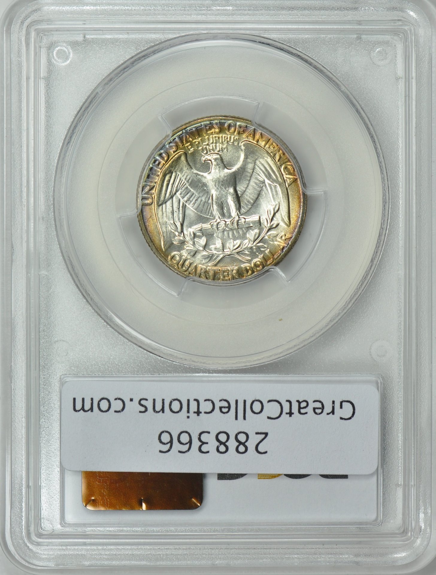 288366-2.jpg