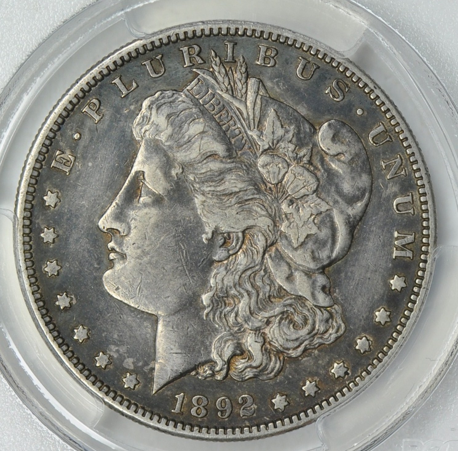 28b.jpg