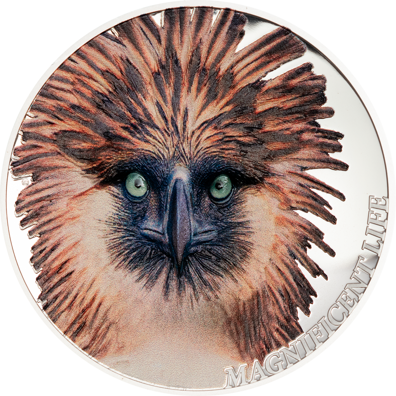 29036_Magnificent_Life_-_Philippine_Eagle_r__07675.1566955190.png