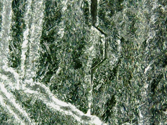 2915321.jpg