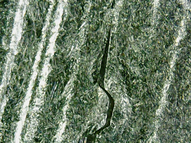 2915425.jpg