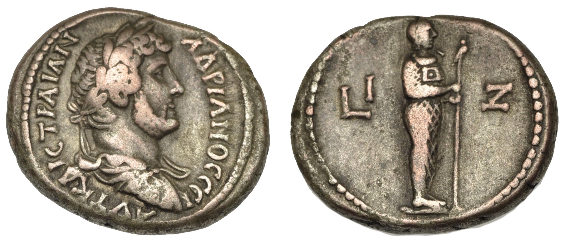 293 P Hadrian RPC5823.jpg
