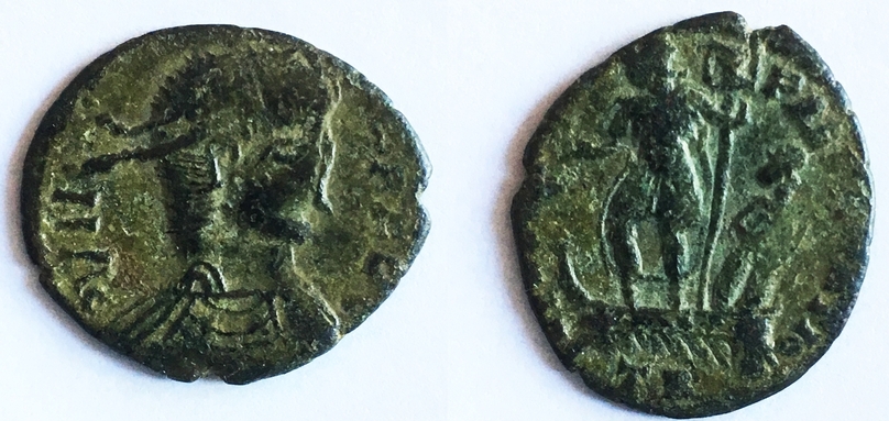 2931 B ct.jpg