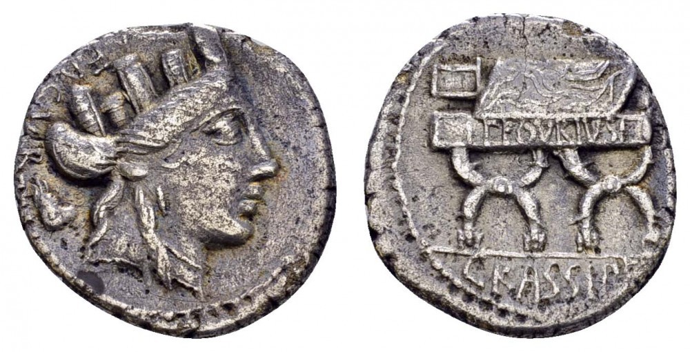 296 RR P Furius Crassipes.jpg