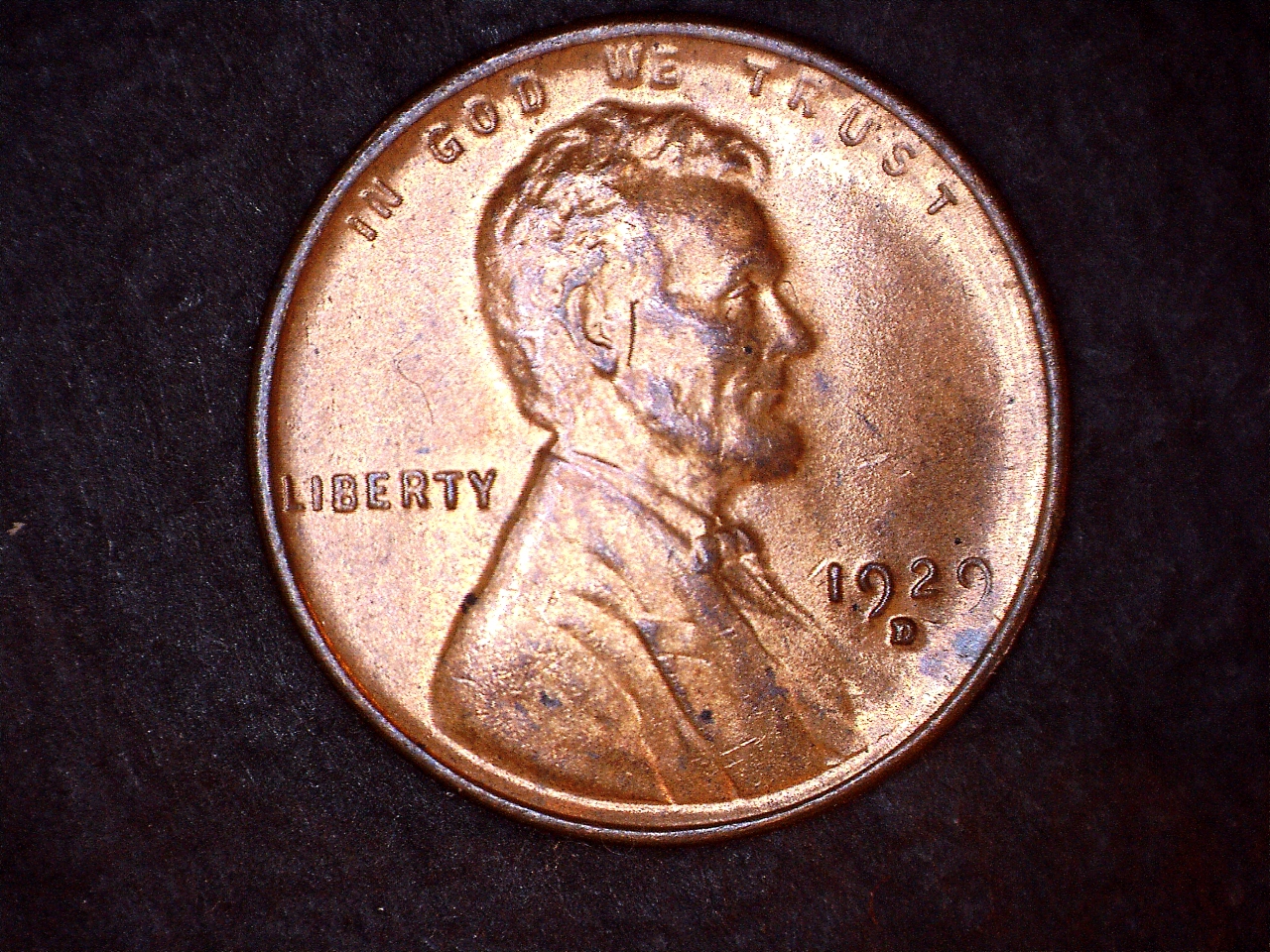 29D.jpg