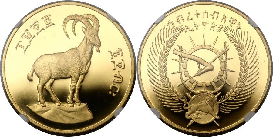 2a5f79deec3d906a5a555baa29e4d01d (5).jpg