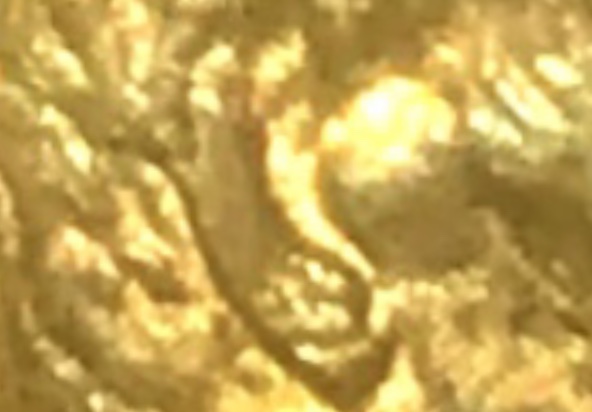 2BD877DB-565F-4D6F-A2CA-25C0F41BCD6C.jpeg