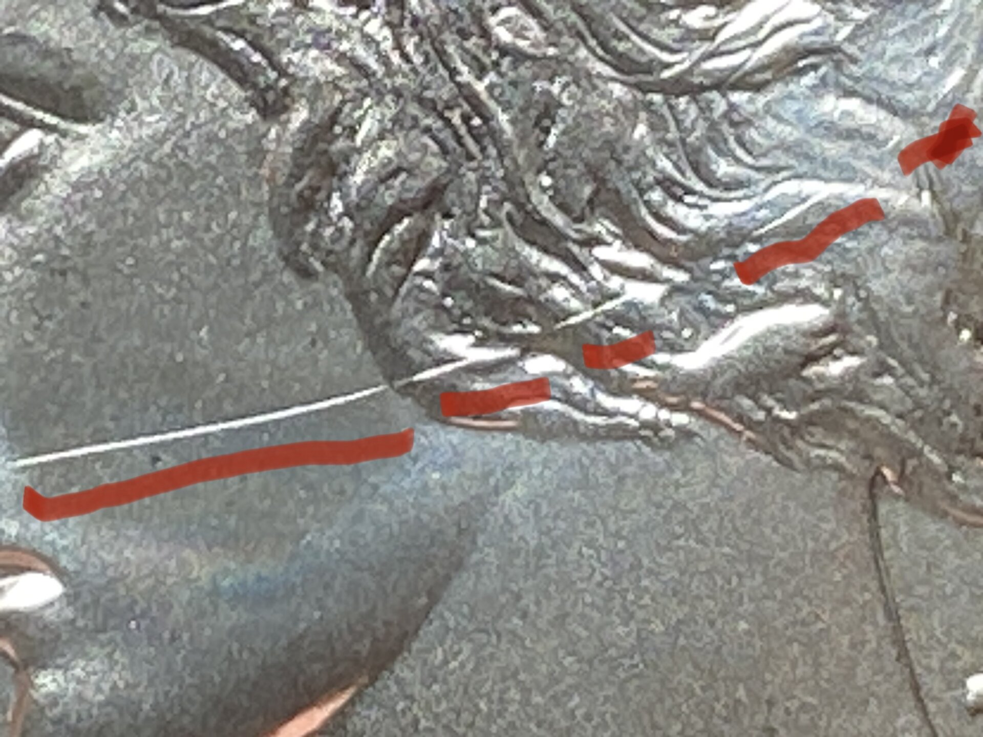 2C07BA95-74C9-43C3-9D69-3889662037D7.jpeg
