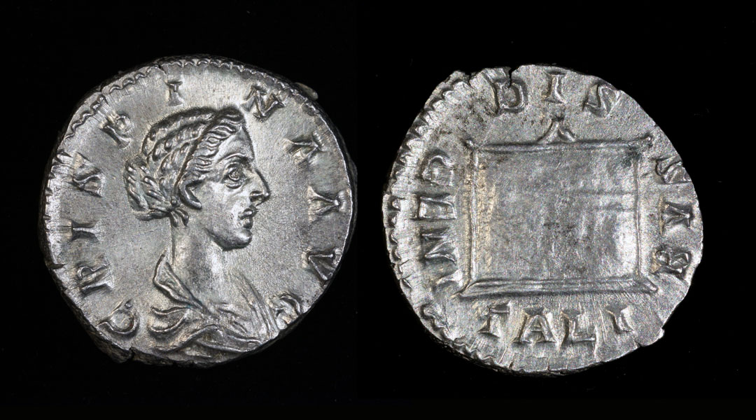 2Crispina-den3-sm.jpg