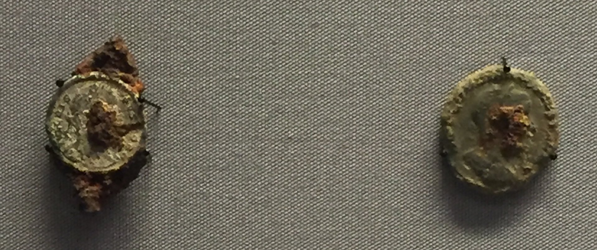 2F881AD4-B7FE-4712-8FDC-B5C412CBDED8.jpeg