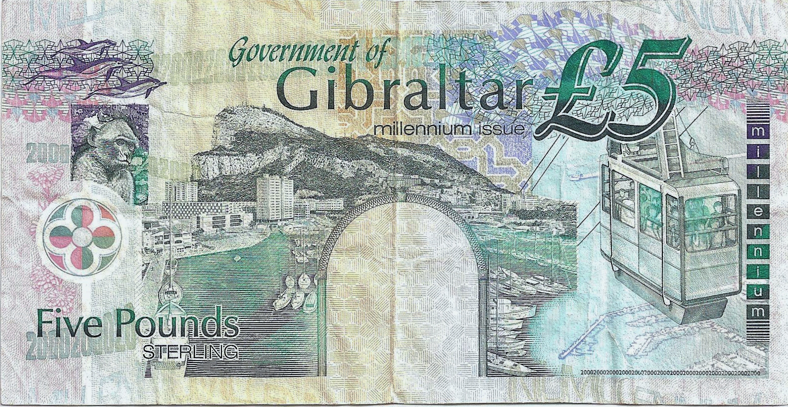 3 GIB 001 BACK.jpg