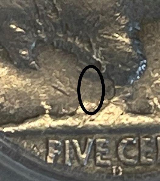 3 legger zoom-1.jpg