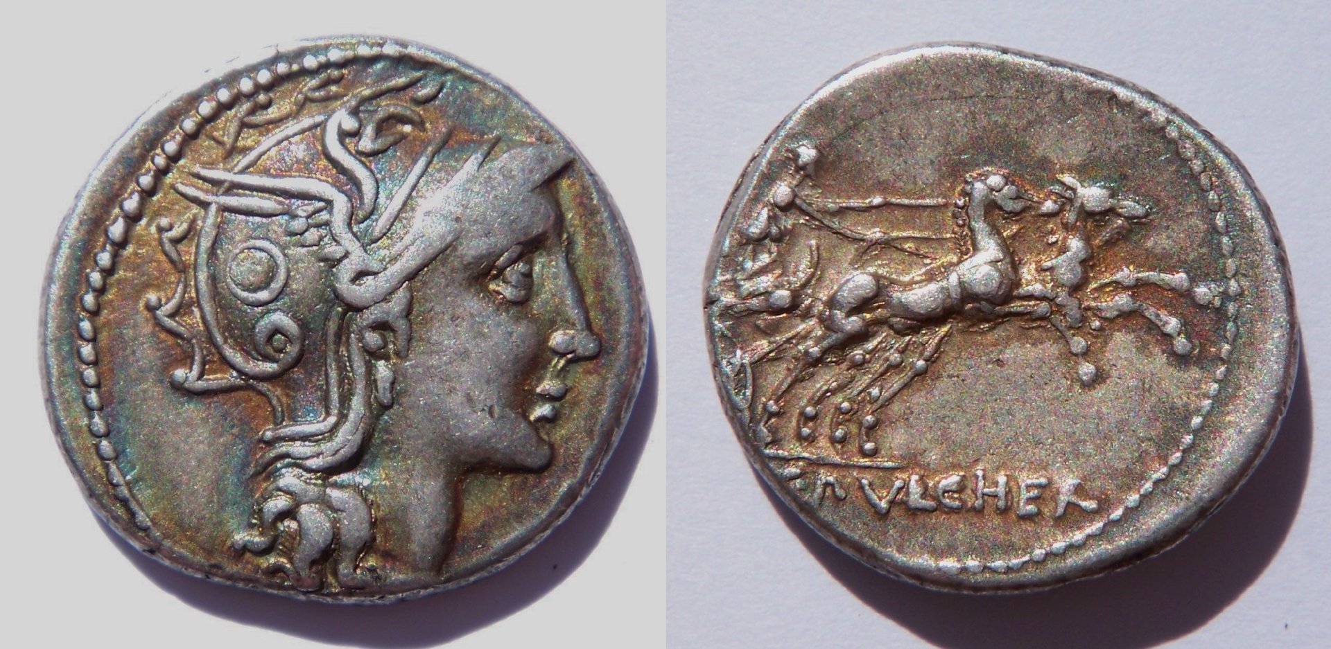 300-1-CClaudiusPulcher.jpg