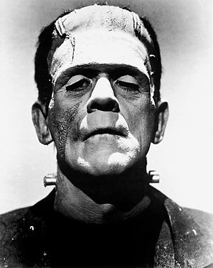 300px-Frankenstein's_monster_(Boris_Karloff).jpg