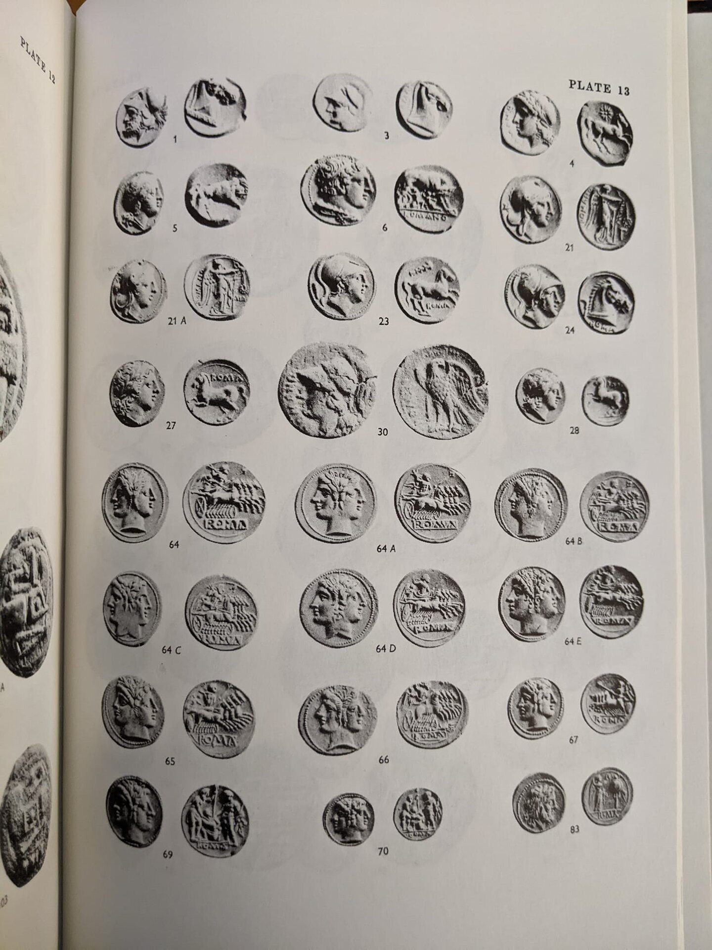 302573283_10162133629204972_4693914460067141784_n.jpeg