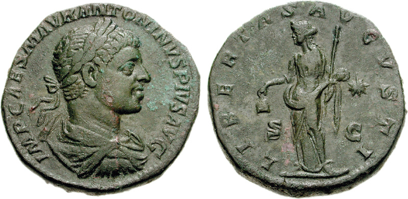 309516.jpg