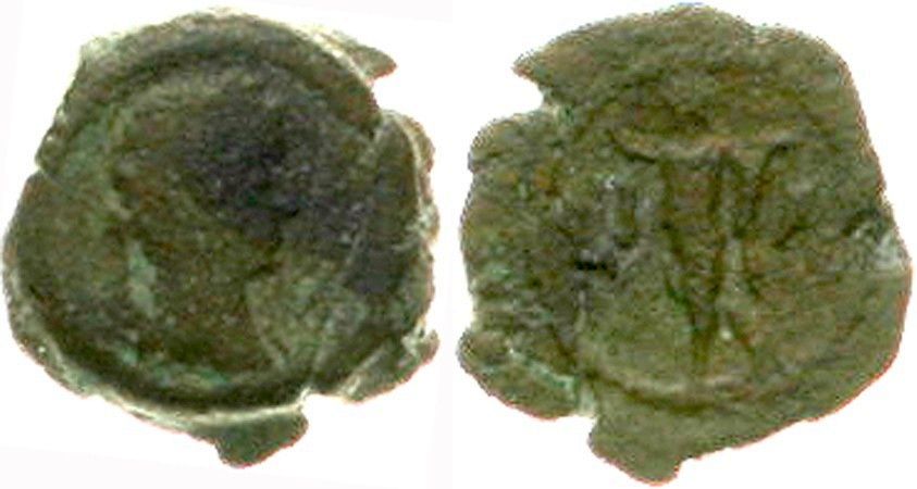 310 P Hadrian Emmett1196 .jpg