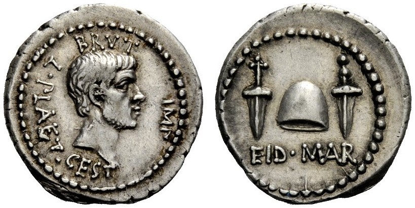 3107845.jpg