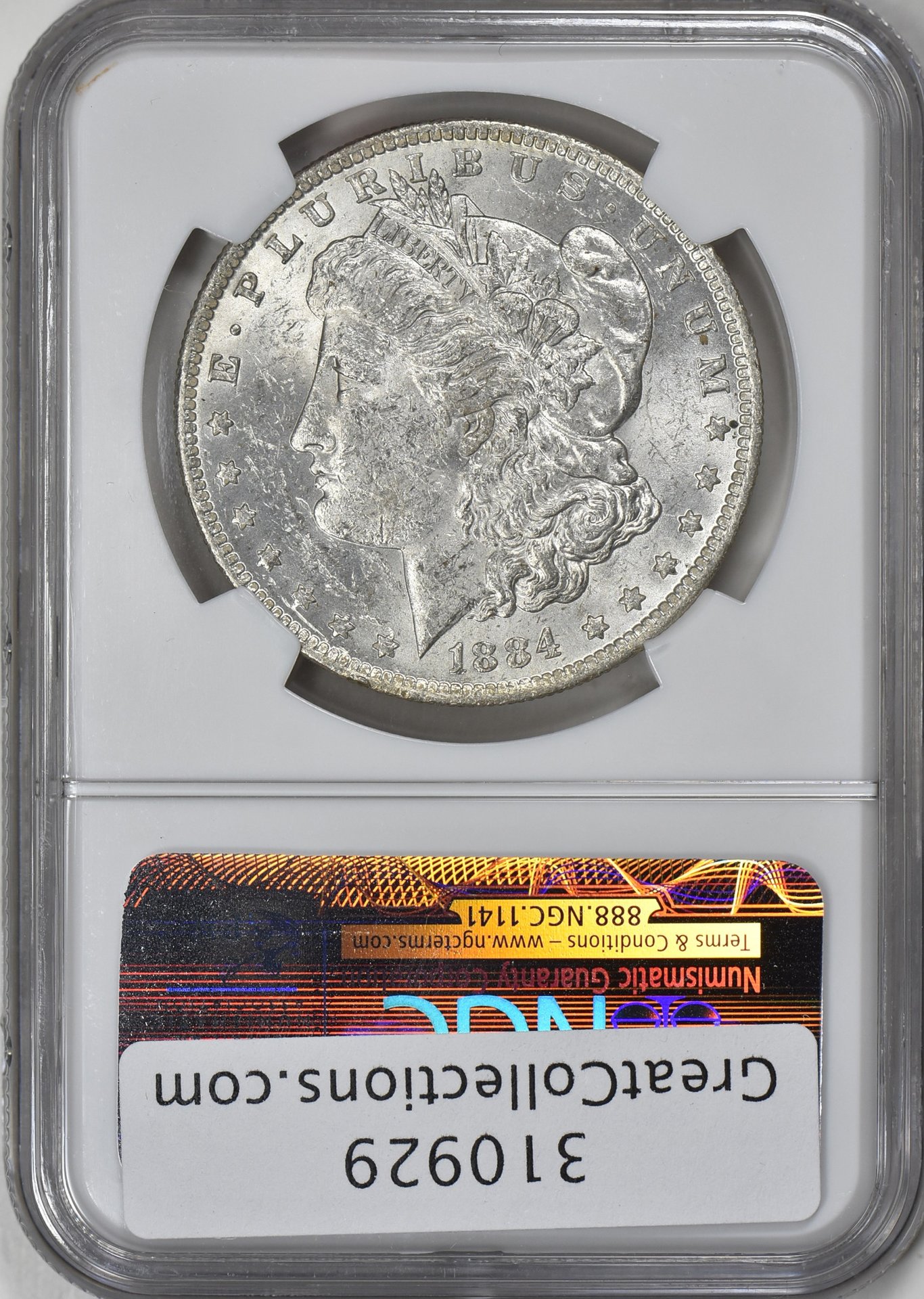 310929-2.jpg