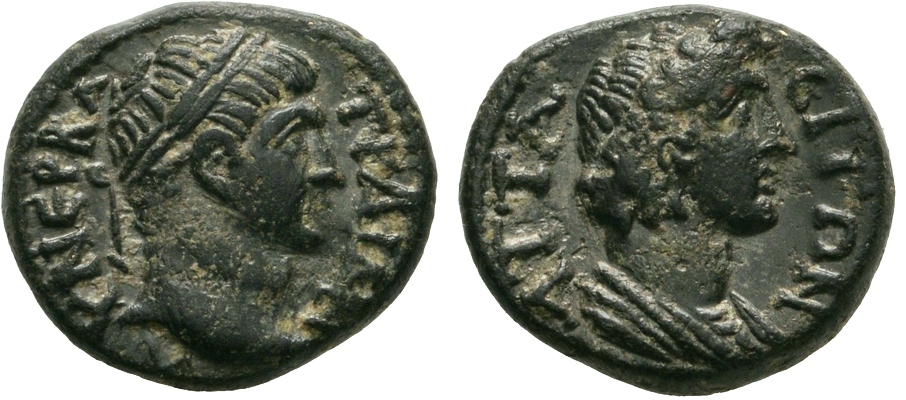 3113 Attaea l 400.jpg