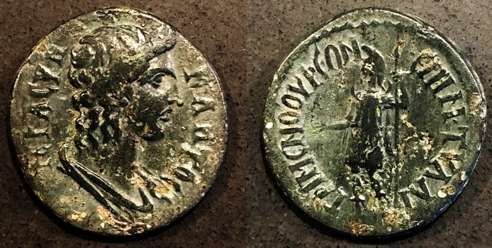 3114 Grimenothyrae e 350.jpg